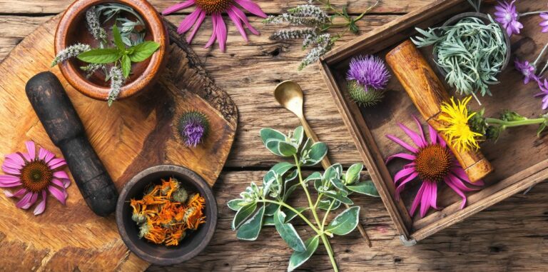 Myths and Facts Herbal remedies